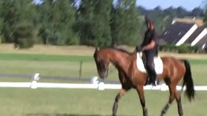 Cheval Equitation préparation jeux olympiques épisode 5