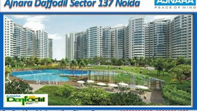 Ajnara Daffodil Sector 137 Noida @ +919999684905, ajnara daffodil noida