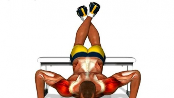 Push ups - knee on bench