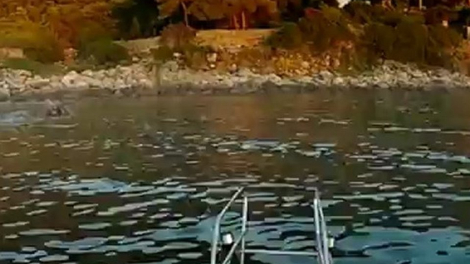 Chronophotographie sur l'eau entre Propriano & Campomoro pour le coucher de Soleil sur la mer en Corse du sud dans le Valinco