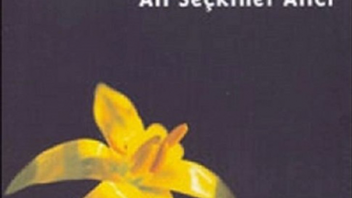 Ali Seçkiner Alıcı - Erzurum Çarşı Pazar (Sarı Gelin)