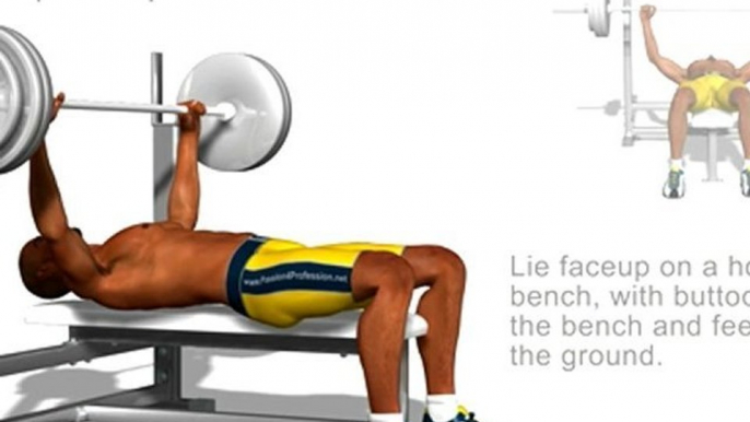 Chest Exercises: Bench Press