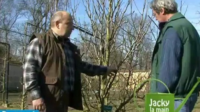 Jacky la main verte et la taille des arbres fruitiers