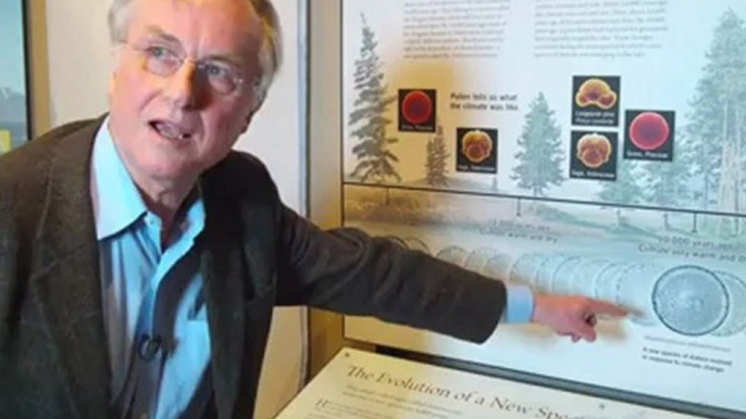 Diatoms The Evolution of a New Species by Richard Dawkins