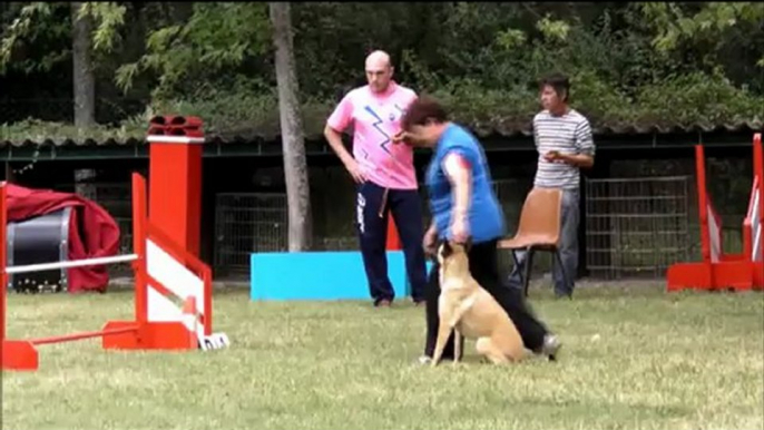 Arlette et Faraun Garonne Agility 2 septembre 2012