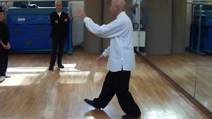 I SEGRETI DELLE ARTI MARZIALI INTERNE CINESI: DAGLI ESERCIZI DI BASE ALLE APPLICAZIONI MARZIALI. CORSI A ROMA DI TAIJI QUAN (TAI CHI CHUAN), NEI GONG,QI GONG, XIN YI CON IL MAESTRO FLAVIO DANIELE XLIX