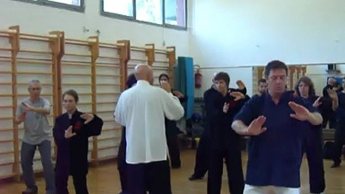 I SEGRETI DELLE ARTI MARZIALI INTERNE CINESI: DAGLI ESERCIZI DI BASE ALLE APPLICAZIONI MARZIALI. CORSI A ROMA DI TAIJI QUAN (TAI CHI CHUAN), NEI GONG,QI GONG, XIN YI CON IL MAESTRO FLAVIO DANIELE L