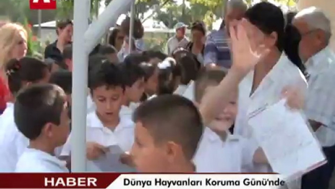 Hayvanları Koruma Günü’nde Ovaköy Geçici Hayvan Barınağı`nda bir buluşma toplantısı yapıldı.