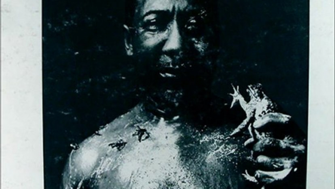 Muddy Waters - I Am The Blues