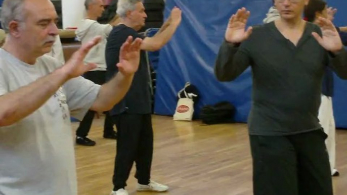 I SEGRETI DELLE ARTI MARZIALI INTERNE CINESI: DAGLI ESERCIZI DI BASE ALLE APPLICAZIONI MARZIALI. CORSI A ROMA DI TAIJI QUAN, NEI GONG,QI GONG, XIN YI CON IL MAESTRO FLAVIO DANIELE X