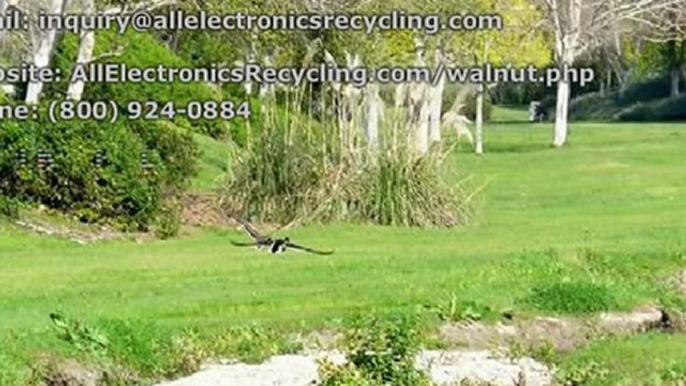 Electronic Waste Recycling in Walnut | All Electronics Recycling