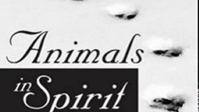 Crafts Book Review: Animals in Spirit: Our faithful companions' transition to the afterlife by Penelope Smith