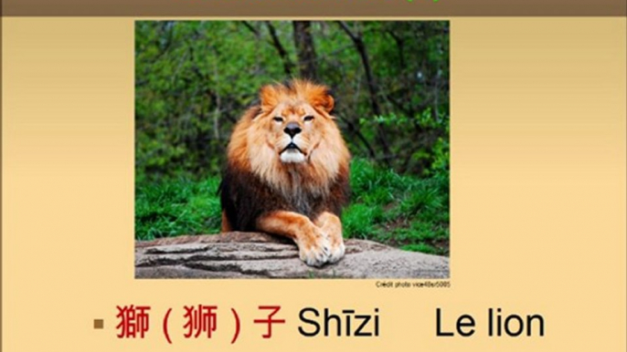 Vocabulaire chinois : Les animaux en chinois