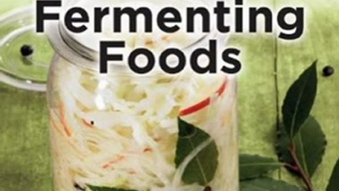 Food Book Review: The Complete Idiot's Guide to Fermenting Foods by Wardeh Harmon