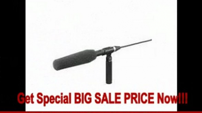 Sony ECM-680S MS Stereo Shotgun Microphone, 50 Hz to 20 kHz Frequency Response REVIEW