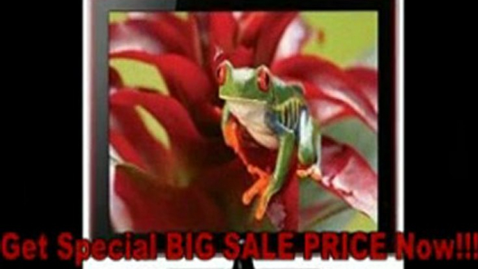 [SPECIAL DISCOUNT] Samsung LN40A750 40-Inch 1080p DLNA LCD HDTV with Red Touch of Color