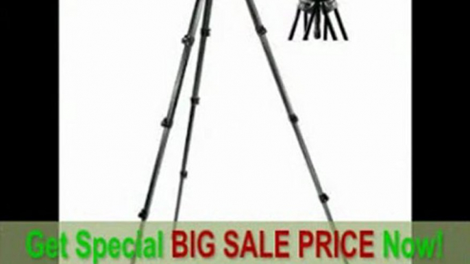 [SPECIAL DISCOUNT] Manfrotto 509HD Video Head with 536 Carbon Fiber Tripod Legs