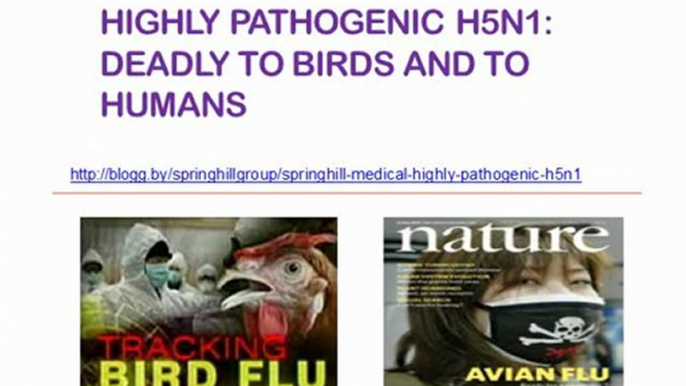 Springhill Group, H5N1 Deadly to Birds and to Humans