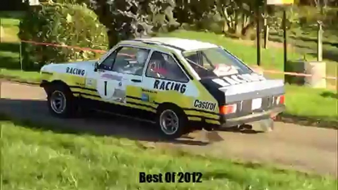 Best of rallye 2012