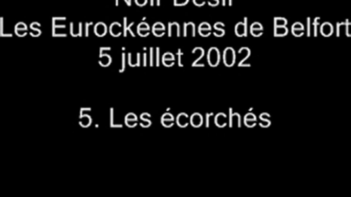 05.Les écorchés - Noir Désir aux Eurockéennes de Belfort le 5 juillet 2002