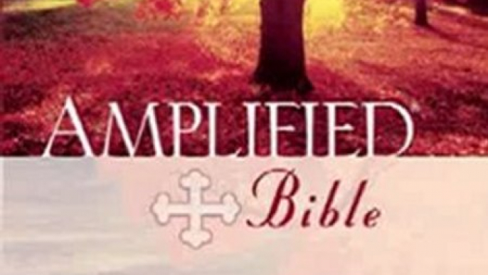 Bible Review: Amplified Bible by Zondervan