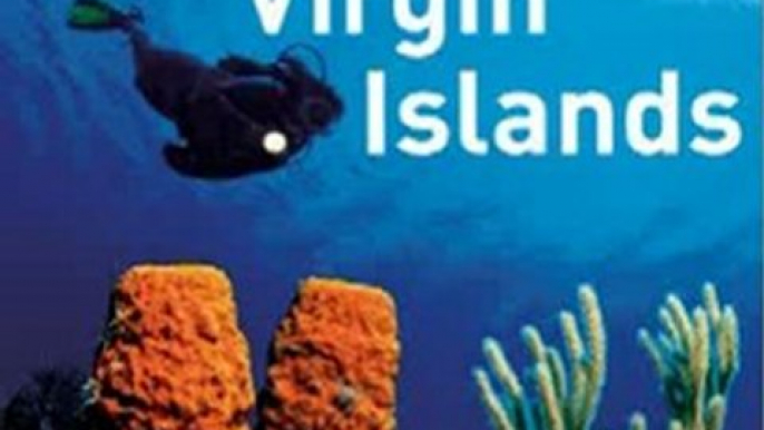 Outdoors Book Review: Dive the Virgin Islands: Complete Guide to Diving and Snorkeling (Dive the Virgin Islands: Complete Guide to Diving & Snorkeling) by Lawson Wood