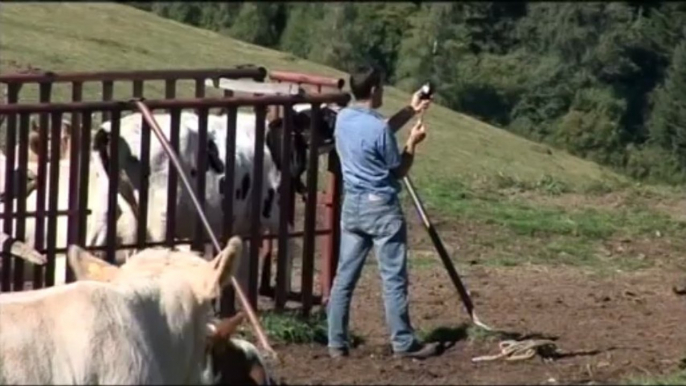 Changement climatique, agriculture et pastoralisme dans les Alpes françaises