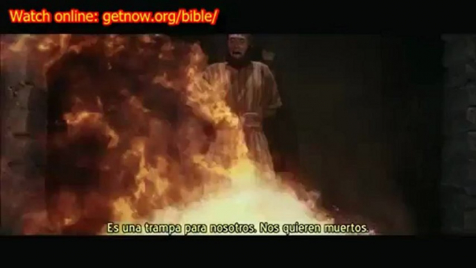 The Bible History Channel streaming online