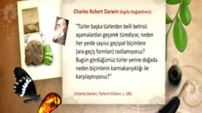 adnan oktar, adnan hoca, adnan hocanın talebeleri, kuranda hoşgörü, sevgi, nefret, cihad, yobazlık, müşrik sistemi, a9, ahirazman ve yaratılış delileri, adnan hocanın talebeleri, adnancılar, adnan hocacılar, adnan hocanın sohbetleri, adnan hoca müzik, ak