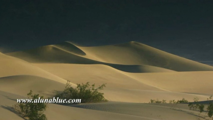 Stock Video - Dunes 03 - Stock Footage - Video Backgrounds