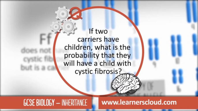 Inheritance: GCSE Biology