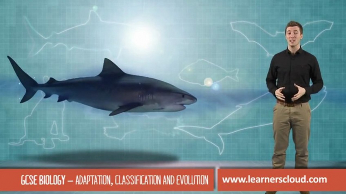 Adaption, classification and evolution: GCSE Biology