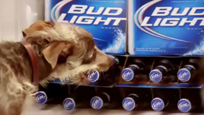 Bud Light "Rescue Dog" Premier Super Bowl Spot