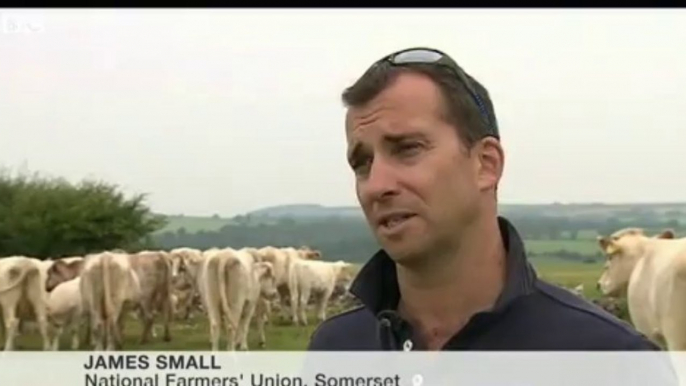 BBC News - Badger cull begins in Somerset and Gloucestershire despite protests 27Aug13