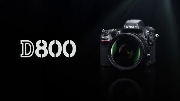 Nikon D800 - JE SUIS UNE VISION GLOBALE