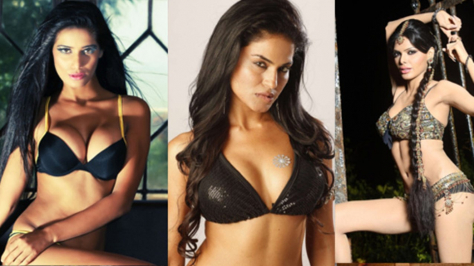 Veena Malik Says Sherlyn Chopra & Poonam Pandey Are Porn Stars !