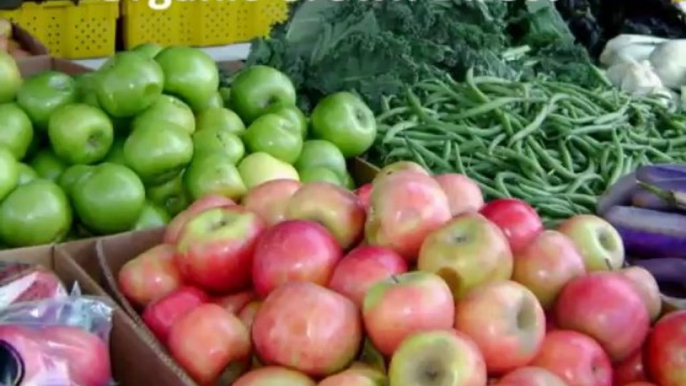 organic farm produce delivery