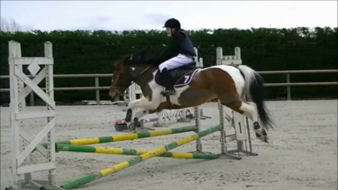 équitation concours de saut d'obstacles