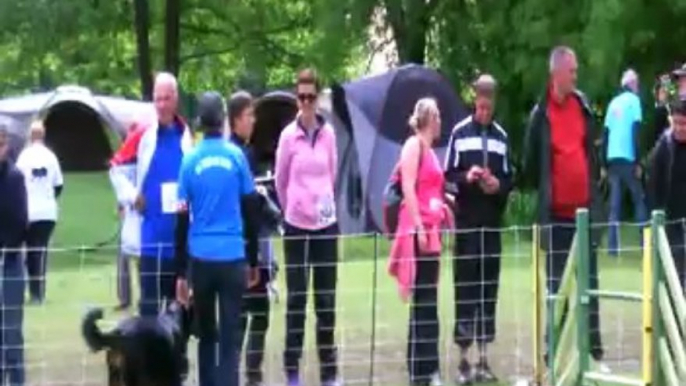 AGILITY Trophée par équipe  Parcours du Dimanche Matin  la tribu de Dana