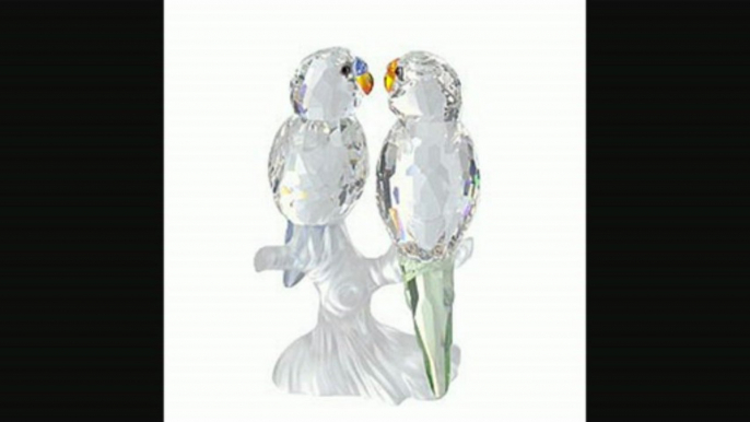 Swarovski  Budgies Review