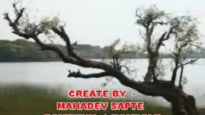 VALLEY OF FLOWERS : KAS PATHAR SATARA : VIDEO CREATE BY:MAHADEV SAPTE.: TONDALE | MAN | SATARA
