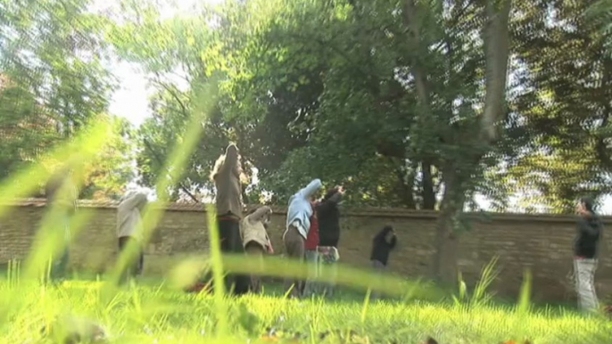 Qi Gong du Marais, cours de Qi Gong a Niort et Fontenay le Comte