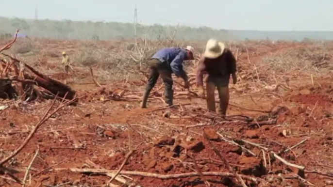 Vietnam: la guerre des terres fait rage du nord au sud