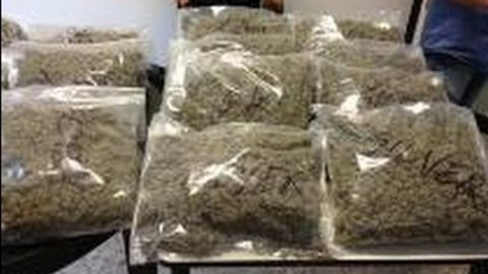 Trentola Ducenta (CE) - Sequestrati 22 chili di marijuana, 5 arresti (28.06.13)