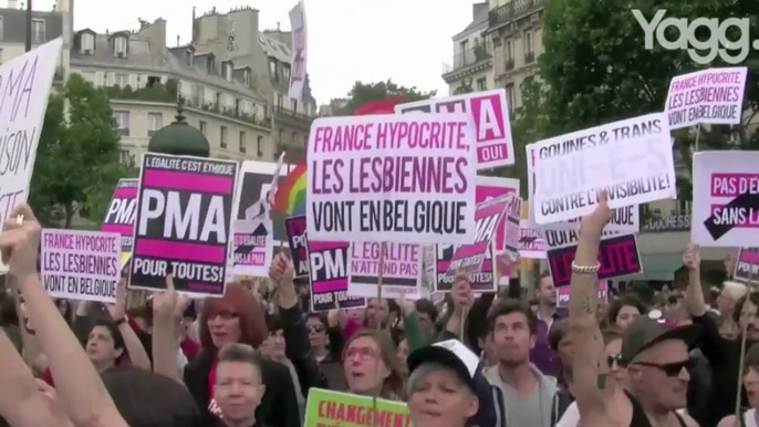 Manifestation pour la PMA à la Marche des fiertés LGBT 2013 à Paris