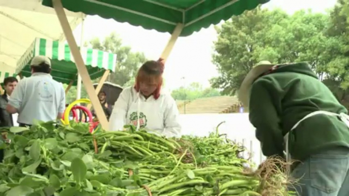 Mexico market turns trash into food