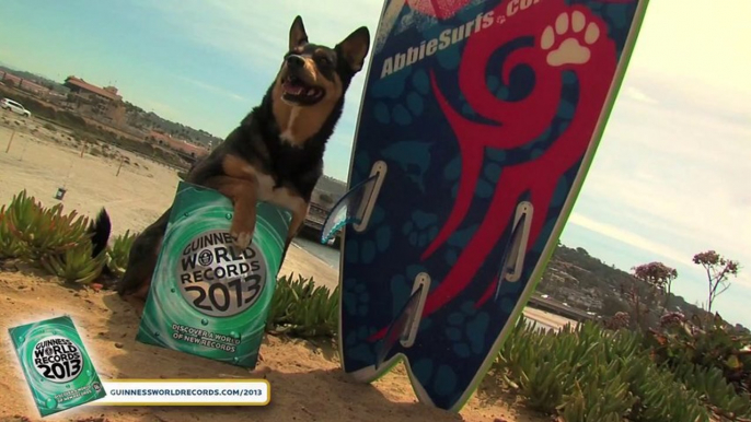 Longest wave Surfed By a Dog - Meet The Record Breakers - Guinness World Records