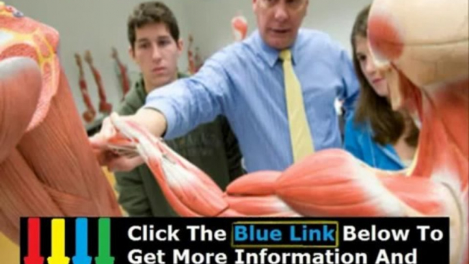 Short Course Human Anatomy + Online Human Anatomy Course With Lab