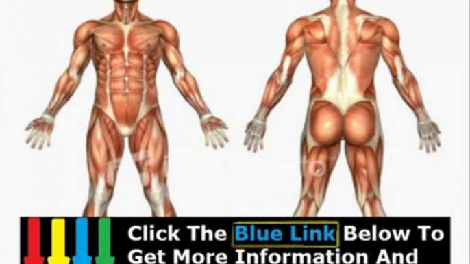 Gross Human Anatomy Course + Human Anatomy Physiology Online Course Lab