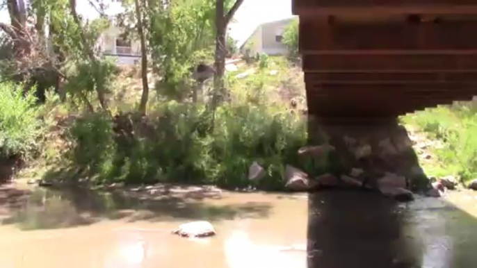 Kyzak & Rydik playing in creek in Colorado Springs, Co. Pt.3